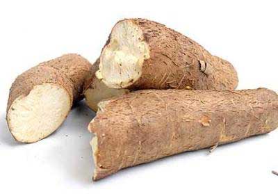 khoai mì