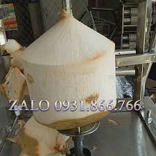dừa gọt bằng máy gọt dừa