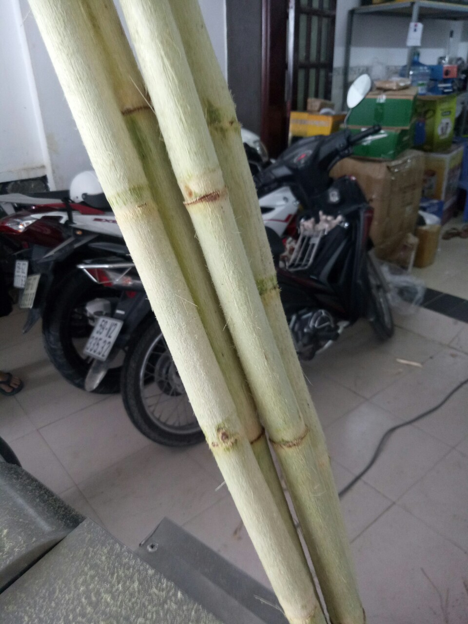 MÁY BÀO VỎ MÍA BÁNH CƯỚC CHUYÊN NGHIỆP. GIÚP BẠN RẤT NHIỀU TRONG VIỆC KINH DOANH NƯỚC MÍA